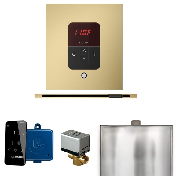 Mr Steam Basic Butler Steam Shower Pkg w/Square iTempo Control and Linear Steamhead in Satin Brass