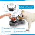 thumbnail image 4 of Cuenco elevado para perros y gatos ACTIVE Cuenco elevado inclinado de comida 20° 2 tazones de acero inoxidable 20 onzas, 4 of 4