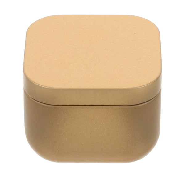 Pequeña caja de lata de Metal con tapa, almacenamiento de té, Mini contenedores de especias, latas de café de hojalata vacías, tarro de caramelo, organizador de té suelto, latas de especias