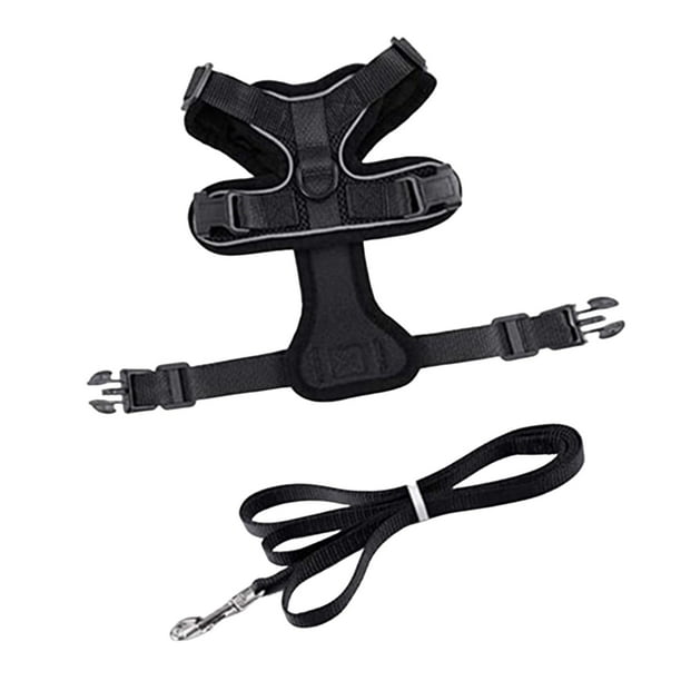 Conjunto de arnés y correa para gatos, chaleco acolchado, cómodo, transpirable, , de contror, reflectante para caminar, , S Negro Salvador Dali Arnés de chaleco para cachorros