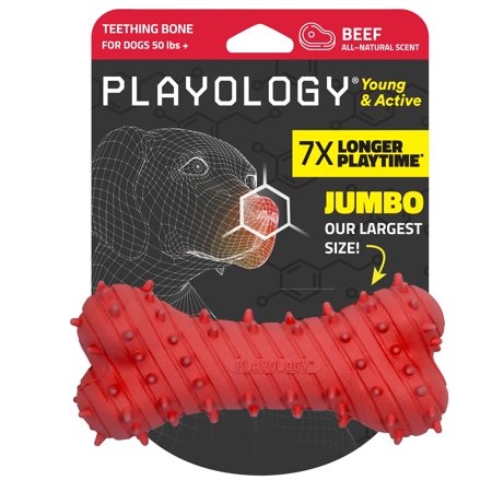 Playology Puppy Teething Bone Dog Toy for Young & Active Dogs | Jumbo Sized Chew Toy with Squeaker for Puppies 50lbs & up | Engaging All-Natural Beef Scented Toy