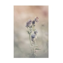 Canvas Wall Art - Sam Bastien 'Sweet World' Wall Art for Living Room, Bedroom, or Office Décor by Trademark Fine Art - 22 x 32 Inches