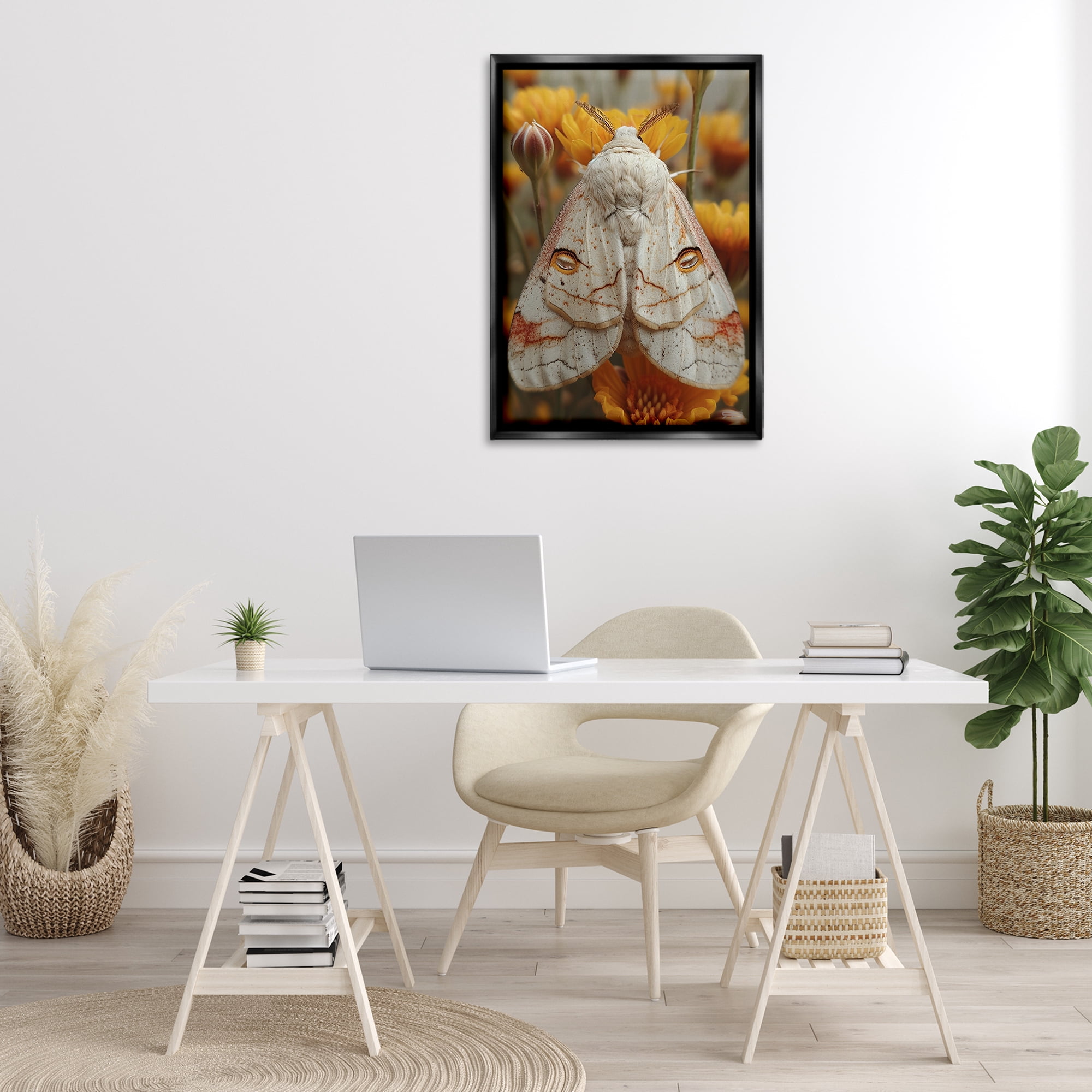 Stupell Industries Delicate Luna Moth Animals & Insects Painting Black Floater Framed Canvas Art Print Wall Art, 21 x 31