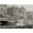 Unframed, variant on Art.com New Orleans, La., Mardi Gras Day, Thered Pageant Stretched Canvas Print Wall Art, 16" x 12"