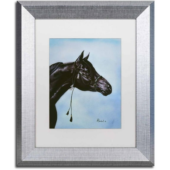 Trademark Fine Art 'Black Arabian' Canvas Art by Jenny Newland, White Matte, Silver Frame