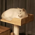 thumbnail image 5 of PETOMG Rubber Wood Cat Tree Floor to Ceiling, No Drilling, Adjustable Height (90.6'' - 110.2''), 5 of 9