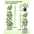 thumbnail image 2 of NiHome 50" Plant Support Stakes 5-Pack for Indoor & Outdoor Garden Climbing Plants Enhances Upright Growth - UV-Resistant, Non-Rotting Plastic Natural Branch Look for Pothos, Clematis, Ivies (Green), 2 of 8