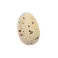 thumbnail image 3 of Leutsin 20Pcs Simulation Colorful Plastic Easter-Eggs Bright PlasticEggs Decorations DIY, 3 of 4