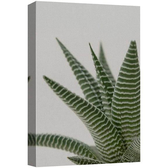 wall26 Canvas Print Wall Art Southwest Rustic Desert Striped Snake Plant Nature Wilderness Photography Realism Floral Botanical Multicolor for Living Room, Bedroom, Office - 24"x36"
