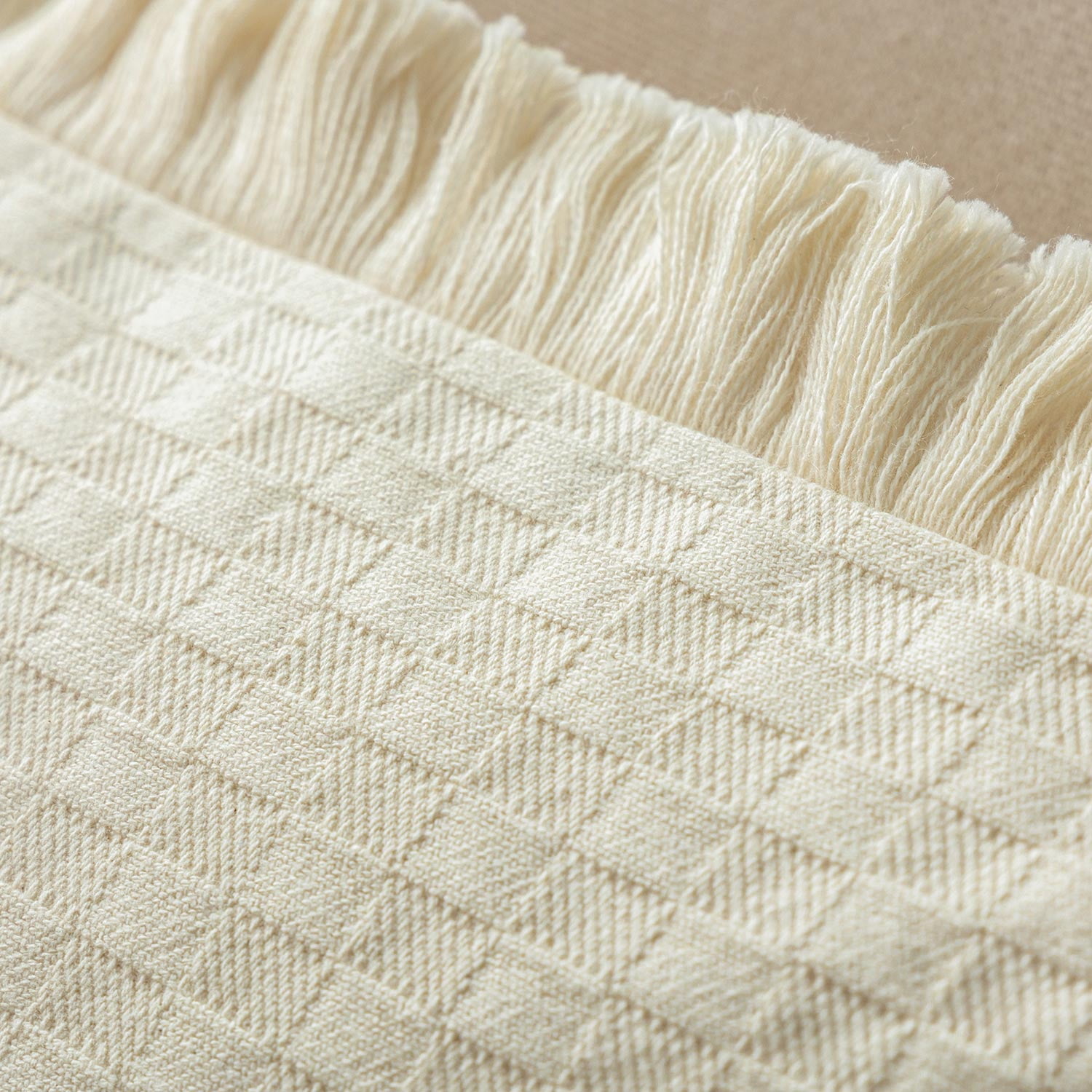 Phantoscope Fringe Trim Textured Woven Decorative Throw Pillow with Insert, Boho Checker Pattern, Cream, 20 x 20 in, 1 Pack