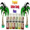 Cotton Candy Flossugar, Case of 6-1/2 Gallon Cartons-Tropical Flavors