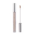 thumbnail image 3 of Fiudx Ofertas Flash Del Día Solo En Línea Corrector Líquido Reparador De Alto Brillo, Maquillaje Duradero Sin Manchas, Brillo Mate, 2,6 Ml, 3 of 7