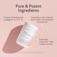 thumbnail image 3 of Alaya Multi Collagen Powder - Suplemento proteico en polvo con péptidos de colágeno hidrolizados tipo I, II, III, V y X, con MSM y GC (sin sabor) (40 porciones), 3 of 5