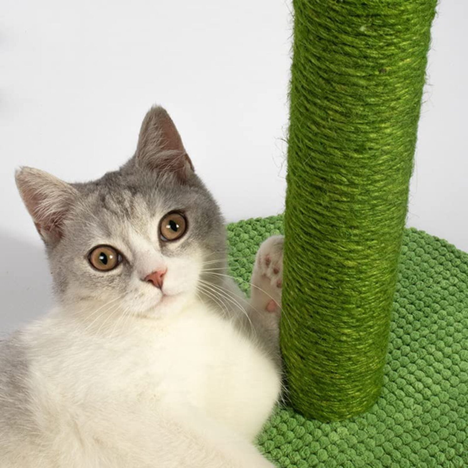 Lovely Caves Cactus Cat Scratching Post with Plush Fabric, Green
