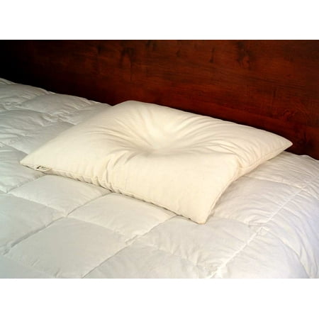 Wheatdreamz Japanese Pillow 14 X 20 Organic Cotton Zippered