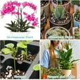 thumbnail image 6 of 6 Quarts Organic Horticultural Perlite for Plants Indoor- Natural Horticultural Soil Additive Conditioner Mix for Improves Drainage, Ventilation and Root Growth, 6 of 7