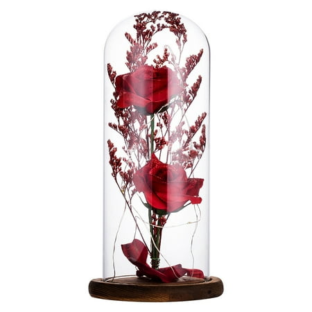 

Rdeuod Valentines Day Decor Gift Night Light Rose Glass Lampshade LED Light