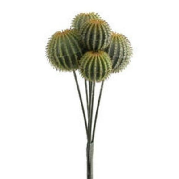CB1310-GR 14 Po Cactus Baril sur Tige Vert- Cas de 12