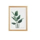 thumbnail image 1 of A4 moderno marco de fotos colgante Shell póster murales marcos de cuadros digitales - Madera Sunnimix Wall Photo Picture Frame, 1 of 7