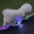 thumbnail image 4 of Led Dog Shoe Lights, 2-Pack Pet Flashlight For Night Walking, Waterproof Pet Shoes Lamps With Hook & Loop Fastener For Dogs Cats, Visible Anti-Lost Pet Footwear Lights For, 4 of 6