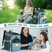 PetAmi Dog Backpack Carrier, Airline Approved Cat Backpacks For Carrying Small Large Cats, Pet Carrier Back Pack, Ventilated Soft Sided for Travel, Hiking, Camping, Max 18 lbs, Turquoise
