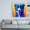 thumbnail image 3 of Trademark Fine Art 'Border Collie Jinx' Canvas Art by DawgArt, 3 of 3