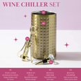 thumbnail image 3 of Set enfriador de botellas de vino Paris Hilton con aislamiento de doble pared, 3 of 9