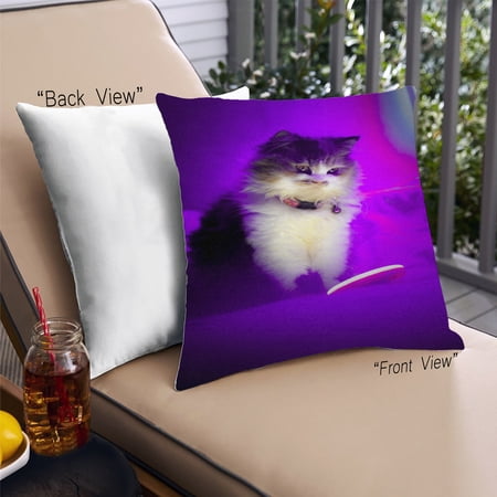 Ahgly Company Cat Cats Outdoor Throw Pillow, 18 inch by 18 inch