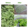 thumbnail image 3 of Queilt Garden Netting, 10 m x 3m Anti-Insect Netting, Anti-Insect Vegetable Netting, Fine Mesh Anti-Insect Mesh for Protection of Plants, Flowers, Vegetables and Fruits, 3 of 4