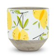thumbnail image 1 of Planteur de Citrons, 1 of 4