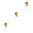 thumbnail image 1 of Baohd 1/2/3/5 10pack/lot Realistic Appearance Artificial Flower For Party Decor And Home Decor Orange 3PCS, 1 of 6