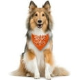 thumbnail image 3 of Big Sister Dog Bandana, Big Sister Bandana for Dog, Dog Pregnancy Announcement, Orange Dog Bandana, Big Sister Dog Shirt, Dog Bandana Pet Scarf, Dog Bandana for Small Medium Large Dogs (D28), 3 of 4
