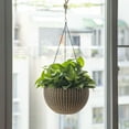 thumbnail image 6 of 10" Self Watering Bronze Hanging Basket Flower Planter, 6 of 8