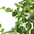 thumbnail image 3 of Nearly Natural 40in. Pothos Artificial Plant in Hanging Bush Plant, Set of 3, 3 of 3