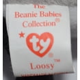 thumbnail image 5 of TY Beanie Babies Loosy Goose The Duck, 5 of 5