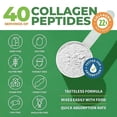 thumbnail image 2 of Péptidos de colágeno en polvo sin sabor - Proteína de colágeno hidrolizado en polvo tipo 1, 2 y 3 - Polvo de colágeno cetogénico alimentado con pasto para mujeres y hombres - Cabello vital, piel, uñas, 2 of 5