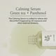 thumbnail image 2 of Sérum Beauty of Joseon Té Verde Pantenol Calmante 30 ml, 2 of 7