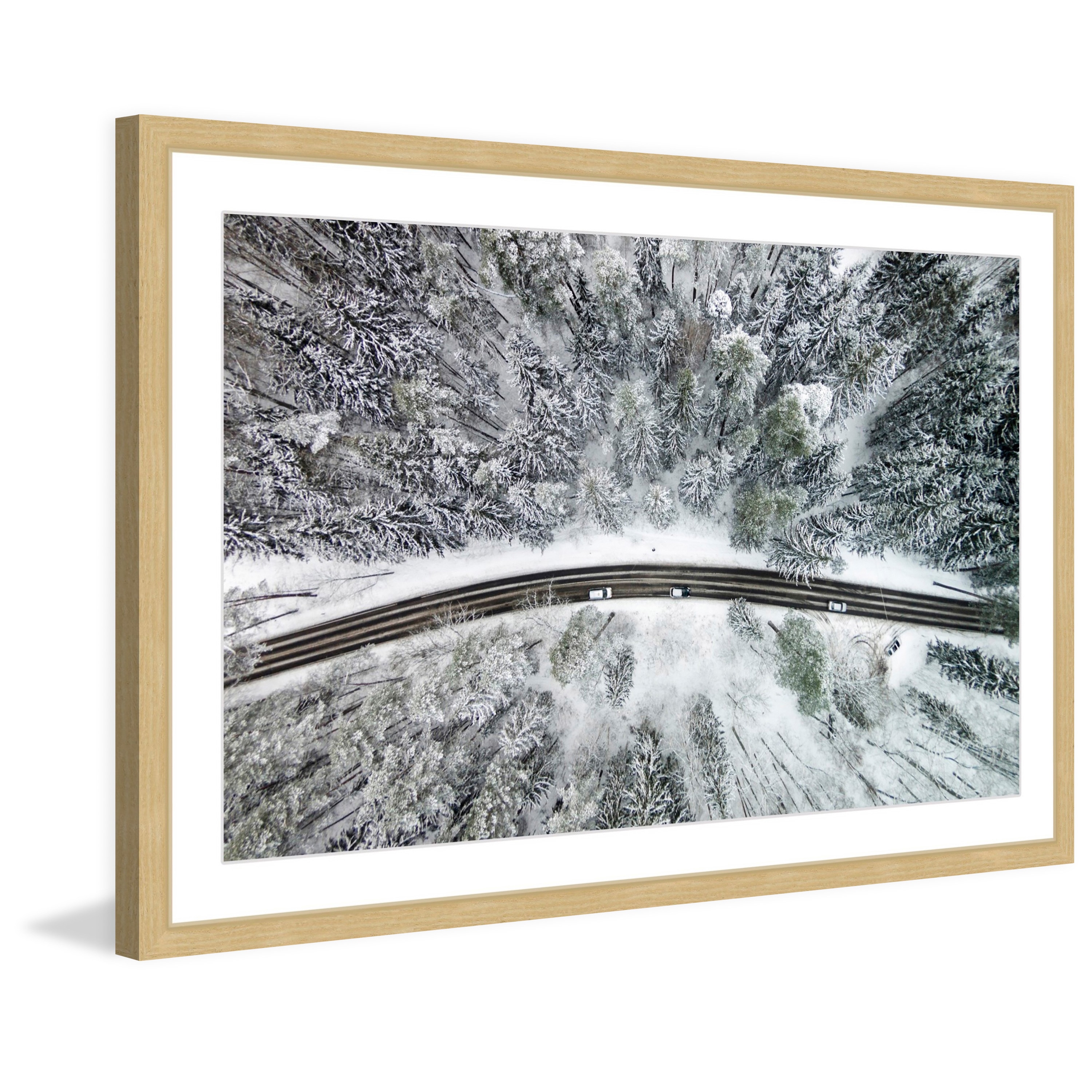 Icy Firs by Karolis Janulis Framed Photographic Print