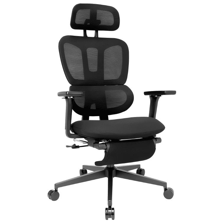 Ergonomic Office Chair with Footrest, High-back Computer Chair with Dynamic Lumbar Support, 2D Headrest & 4D Armrests, Sponge Cushion & Mesh Back, Home Office Chair for Adults, Black