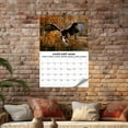 Calendar Birds Of Prey Photo Wall Calendar 2025 Calendar Advent
