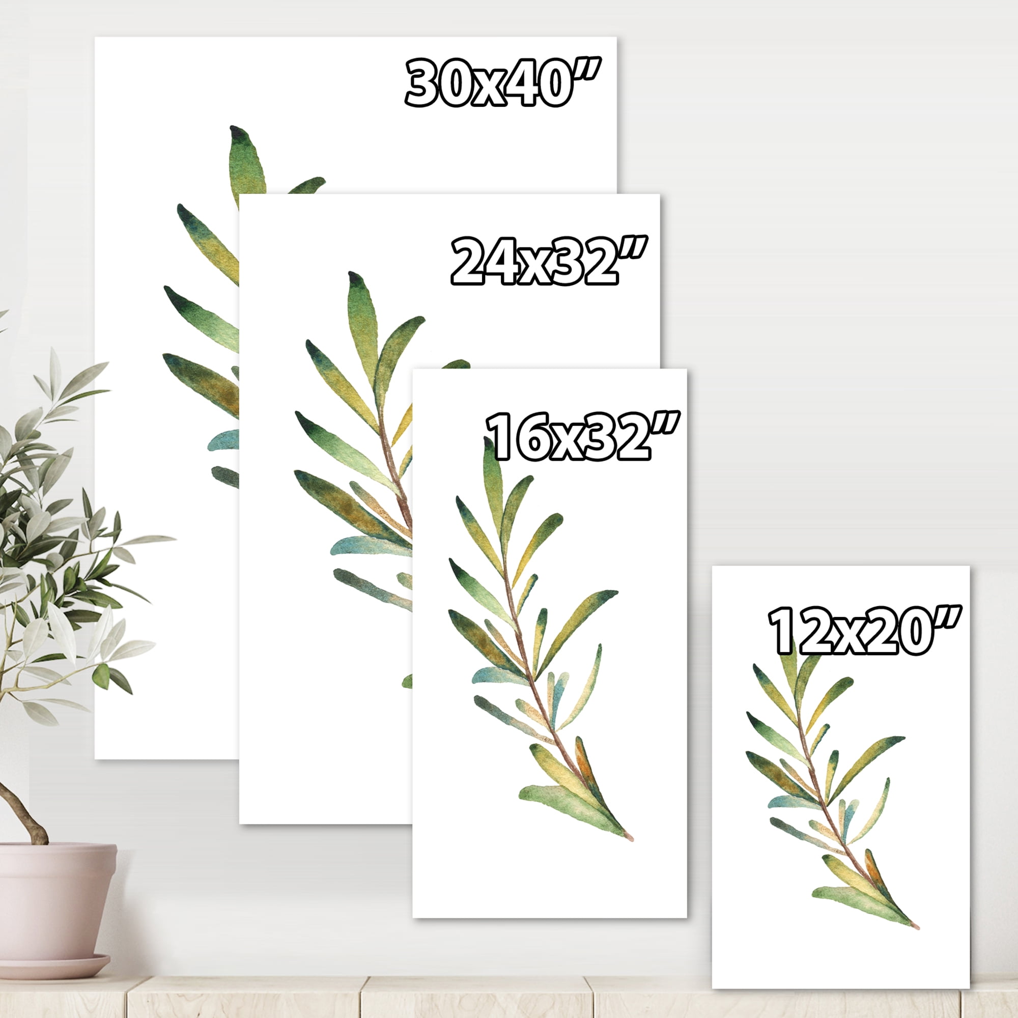 Designart ' Leaf Rosemary Branch on White ' Traditional Canvas Wall Art Print