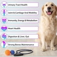 thumbnail image 2 of 15-in-1 Multivitamin for Dogs – 60 ML Dog Vitamins & Supplement, 2 of 10