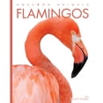 thumbnail image 1 of Pre-Owned Flamingos (Paperback) 1682770974 9781682770979, 1 of 1
