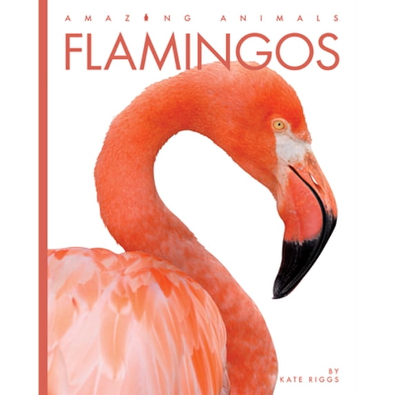 Pre-Owned Flamingos (Paperback) 1682770974 9781682770979