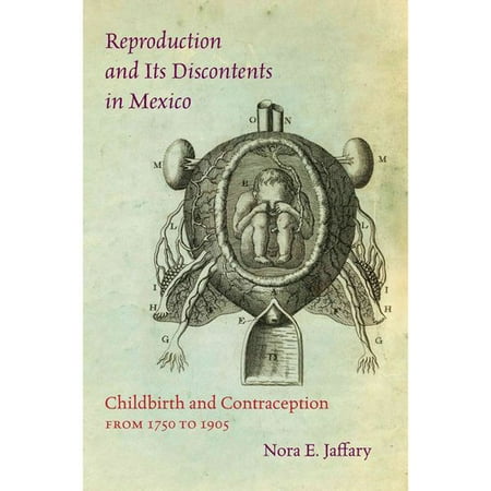 mexican childbirth essay Our culture is full of traditions and beliefs many of which are well known mexican superstitions. mexican childbirth essay Our culture is full of traditions and beliefs many of which are well known mexican superstitions.