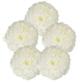 thumbnail image 1 of Just Artifacts 5pcs 16-Inch Tissue Paper Pom Pom Flower Ball (Cream), 1 of 1