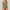 Green, variant on Summer Savings Clearance! LADIGASU Women Solid Print Swimwear Push-Up Swimsuit Bathing Suit