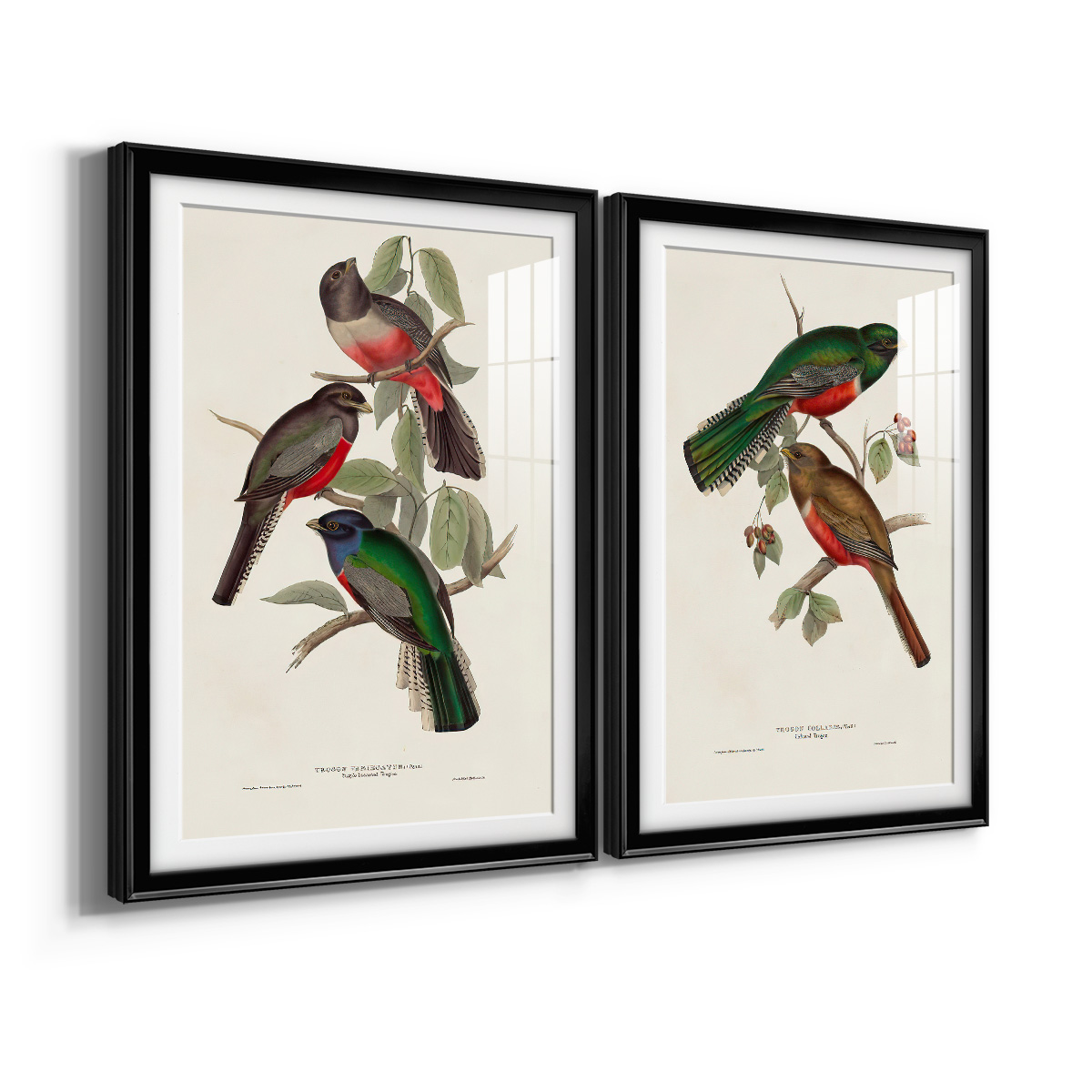Wexford Home Elegant Trogons V Premium Framed Print, 22.5" x 30.5" - Ready to Hang, Black (Set of 2)