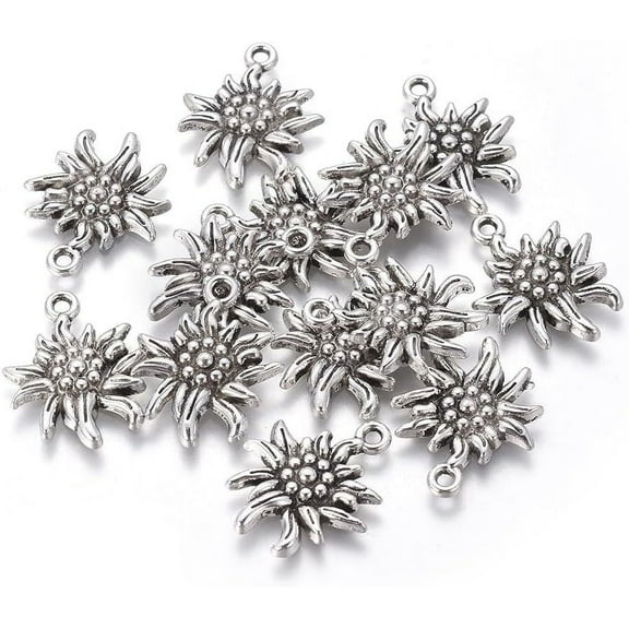 20Pcs Tibetan Style Edelweiss Alloy Pendants Antique Silver Metal Pendant Decoration DIY Pendant Charms for Women DIY Necklace Bracelet Earrings Jewelry Making 21x16x2.5mm Hole: 1mm