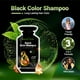 thumbnail image 3 of Herbishh Hair Color Shampoo 10 Sachet +1 Argan Hair Mask Pouch | 3 in 1 Hair Dye | Easy to Use | Gray Coverage | Travel Size | Available in 6 Colors | Long Lasting Hair Color | (Black), 3 of 9